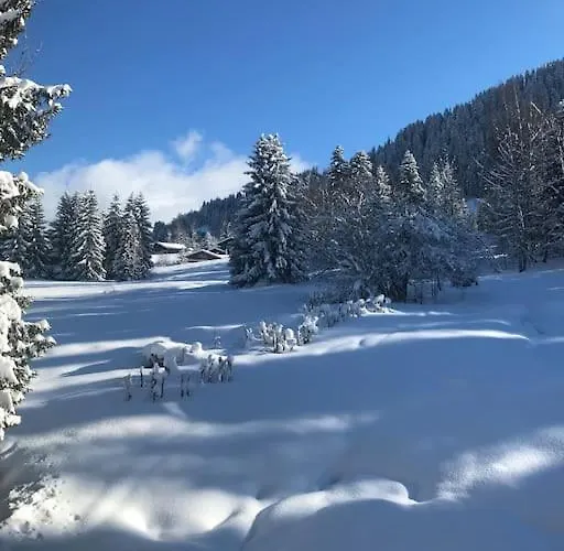 Très Bel à Megève